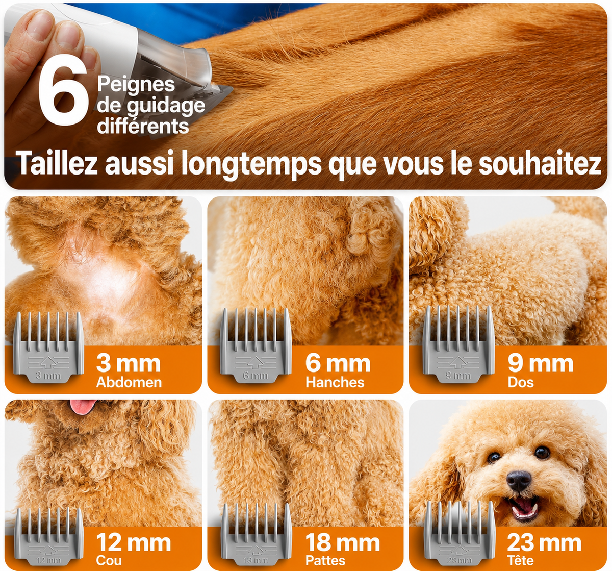 Kit de Toilettage pour Chien et Chat avec Aspirateur Intégré