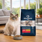 Croquettes pour chats adultes à partir d'un an, au poulet et à la dinde | 10 kg