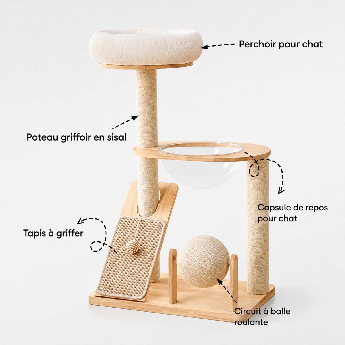 Arbre à Chat Moderne Multifonction en Bois avec Capsule Transparente