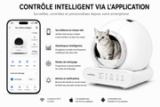 Bac à litière autonettoyant et sans pincement pour chats | LeloPets C4