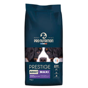 Croquettes pour chiens adultes de grandes races. Un sac de 14 kg
