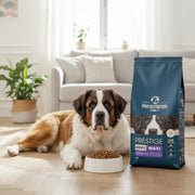 Croquettes pour chiens adultes de grandes races. Un sac de 14 kg