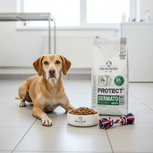 Aliments hypoallergéniques pour chiens souffrant de sensibilité cutanée et d'allergies, 12 kg