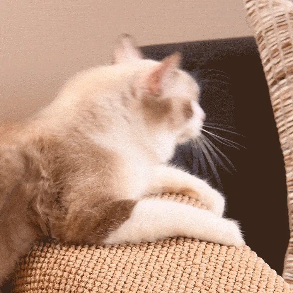 Protection Canapé Réglable Effet Sisal Anti-Griffures pour Chat