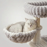 Arbre à Chat Douillet avec Condo et Griffoir