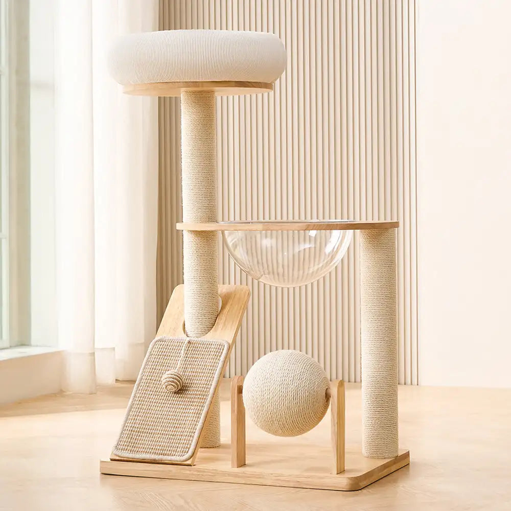 Arbre à Chat Moderne Multifonction en Bois avec Capsule Transparente