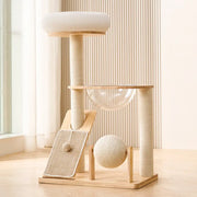 Arbre à Chat Moderne Multifonction en Bois avec Capsule Transparente