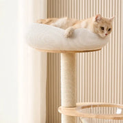 Arbre à Chat Moderne Multifonction en Bois avec Capsule Transparente