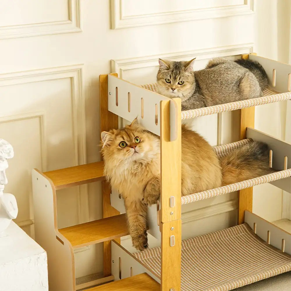 SisalHammock™ – Arbre à Chat Multi-Niveaux avec Escaliers