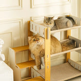 SisalHammock™ – Arbre à Chat Multi-Niveaux avec Escaliers