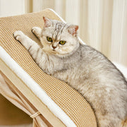 Tente Griffoir Tout-en-Un avec Espace Douillet pour Chat