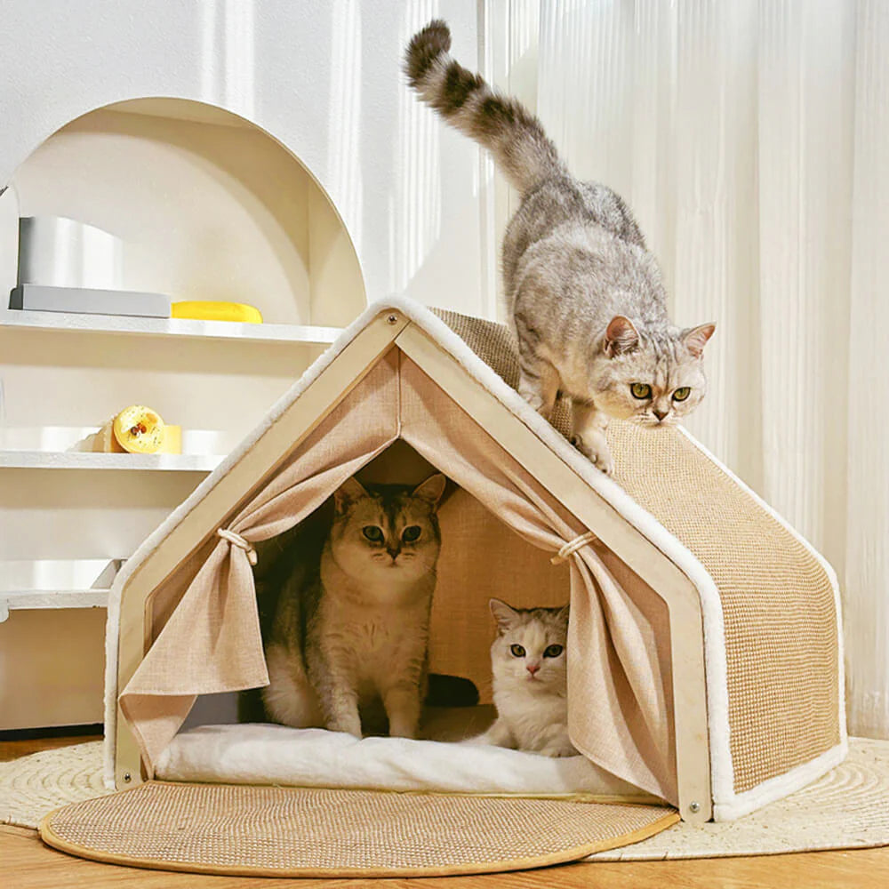 Tente Griffoir Tout-en-Un avec Espace Douillet pour Chat
