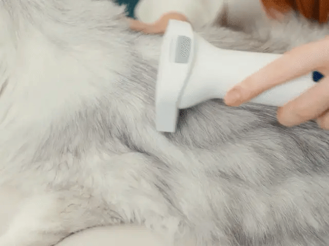 Brosse anti-mue