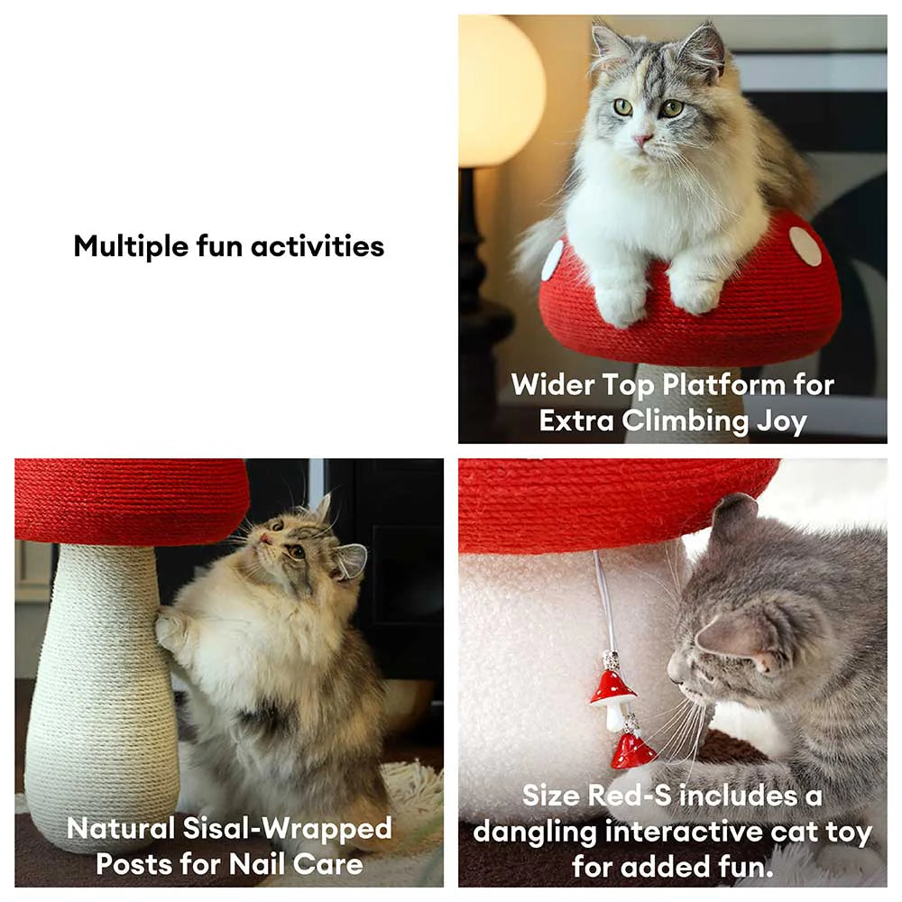 Griffoir Champignon Artisanal en Sisal Naturel pour Grand Chat
