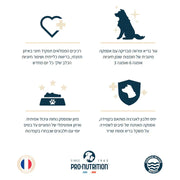 Aliments pour chiens adultes | Sac de 17 kg