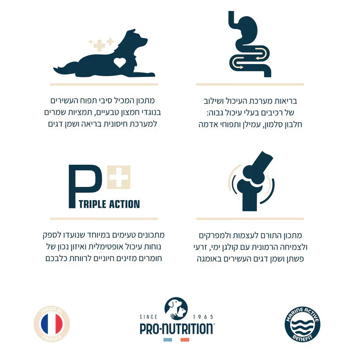 Alimentation en matières grasses pour chiens adultes de 14 kg