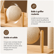 Arbre à Chat Moderne Multifonction en Bois avec Capsule Transparente
